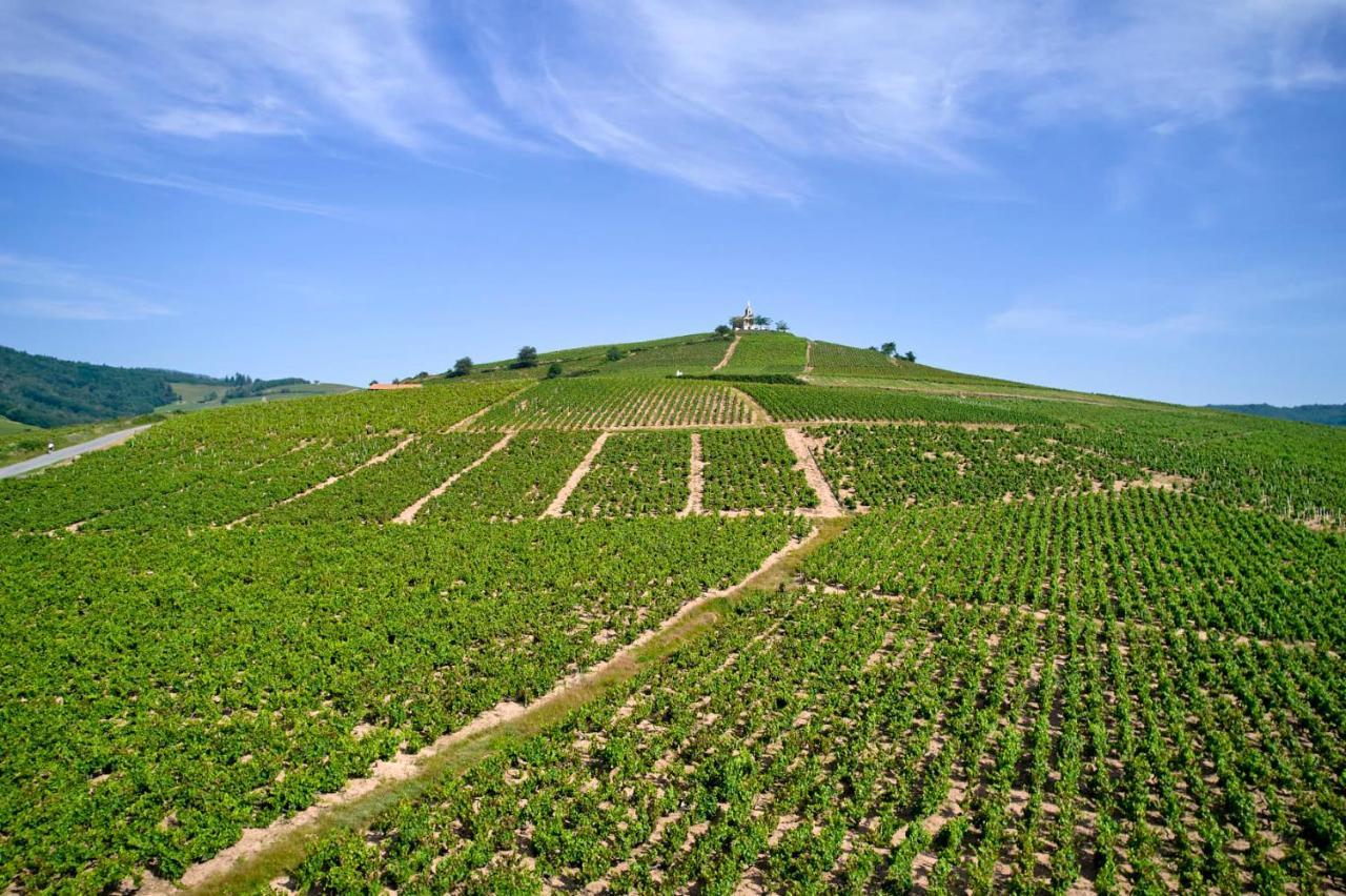 Bed and Breakfast Les Glycines - Domaine Gilles Coperet Regnie-Durette Экстерьер фото