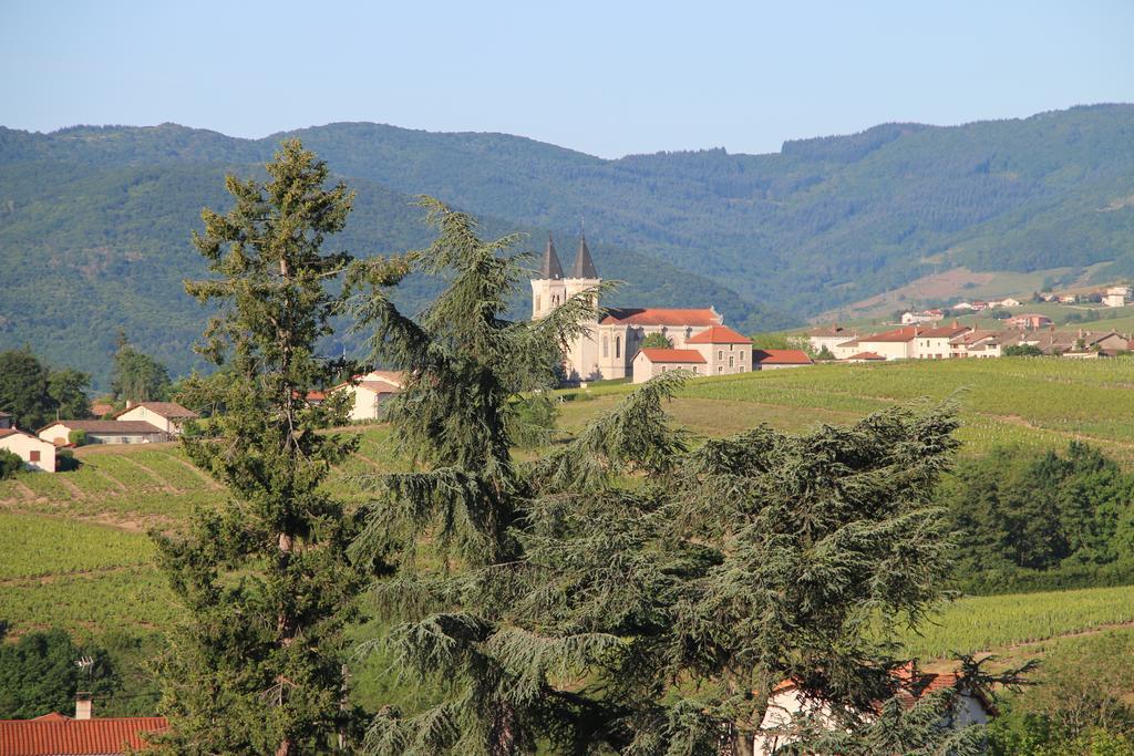 Bed and Breakfast Les Glycines - Domaine Gilles Coperet Regnie-Durette Экстерьер фото